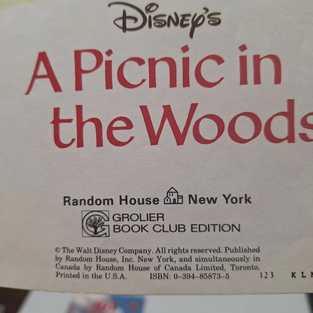Disney Hardcover Books Vintage Lion King 101 Dalmations Lilo Stitch Picnic‎ 90s